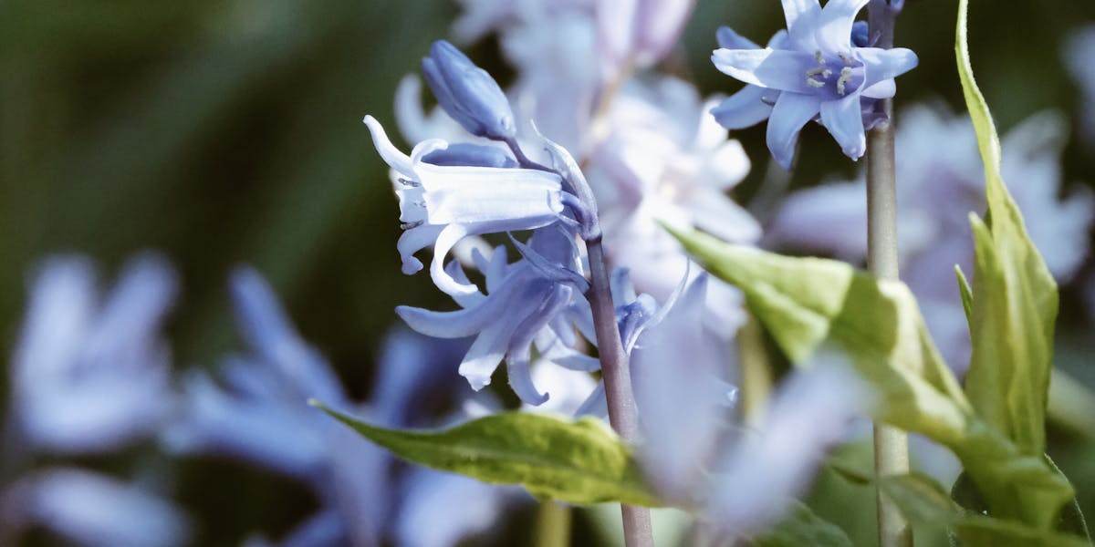tecidos biodegradáveis biquíni